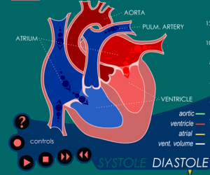 Hyper Heart animation