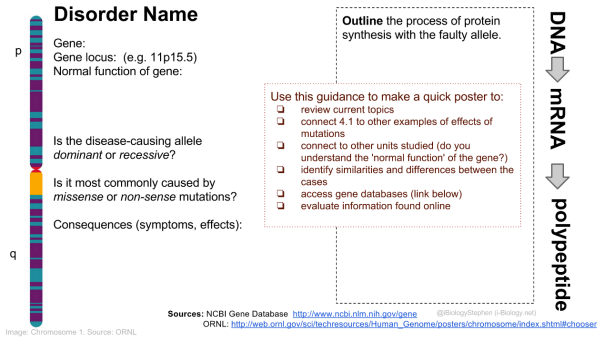 Poster outline for the 30-minute inquiry. 