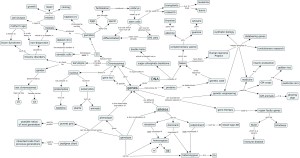 Genetics Concept Map