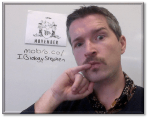 One meeeelion viewers. Link to my Movember profile. One meeeelion viewers. Link to my Movember profile.