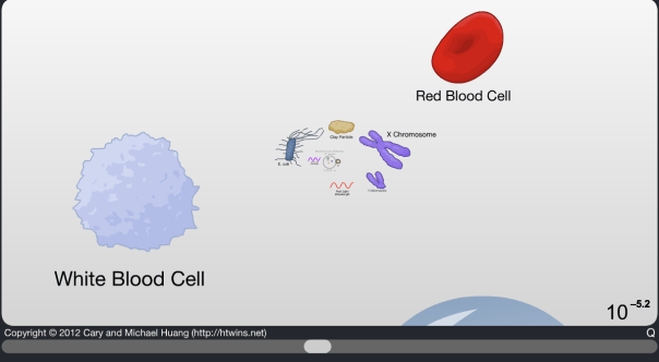 Scale of the Universe App by Cary and Michael Huang (Click!)