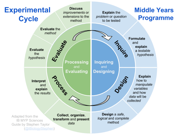 Experimental Cycle Diagram (with text)