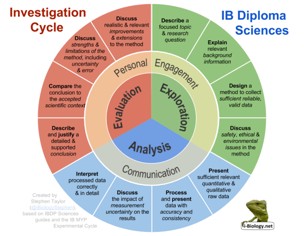 IBBio Experimental Cycle