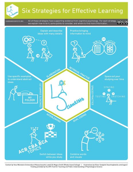 Six Strategies for Effective Learning | i-Biology