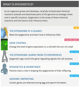 Screen Shot 2018-03-16 at 11.28.01